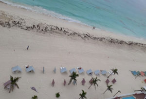 a view of the seaweed on the beach in Cancun