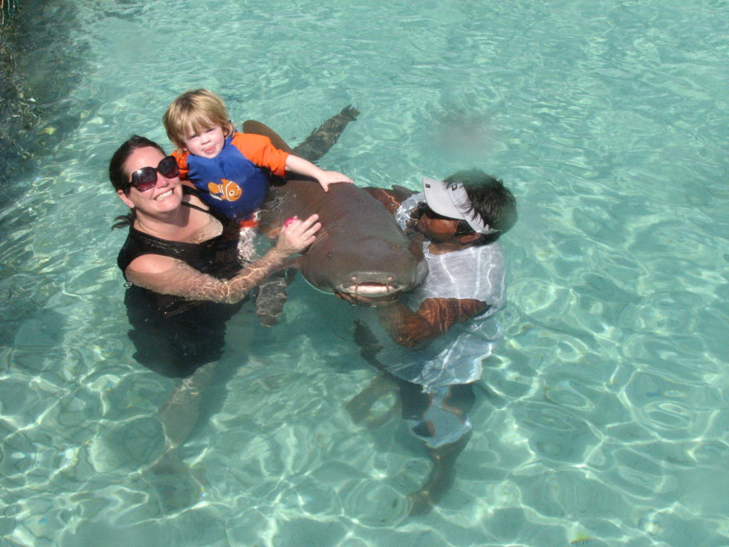 Baby Jake and I swimming with the shark near Isla Mujeres.