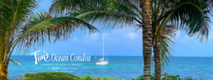 sailboat palm trees cancun sea