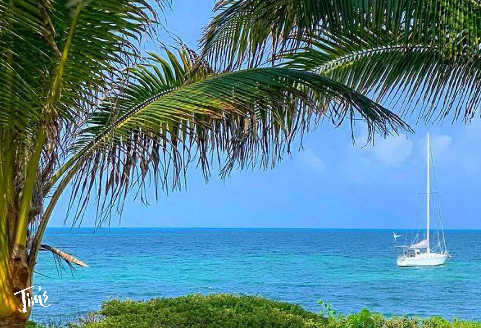 10 Oceanfront Cancun Vacation Rentals Tim's Ocean Condos