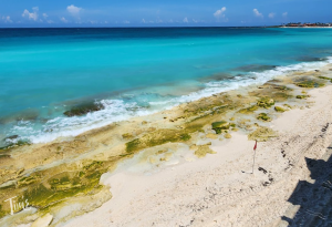 Severely eroded beach in front of Tim's Ocean Condos, Cancun, after Hurricane Beryl, July 2024