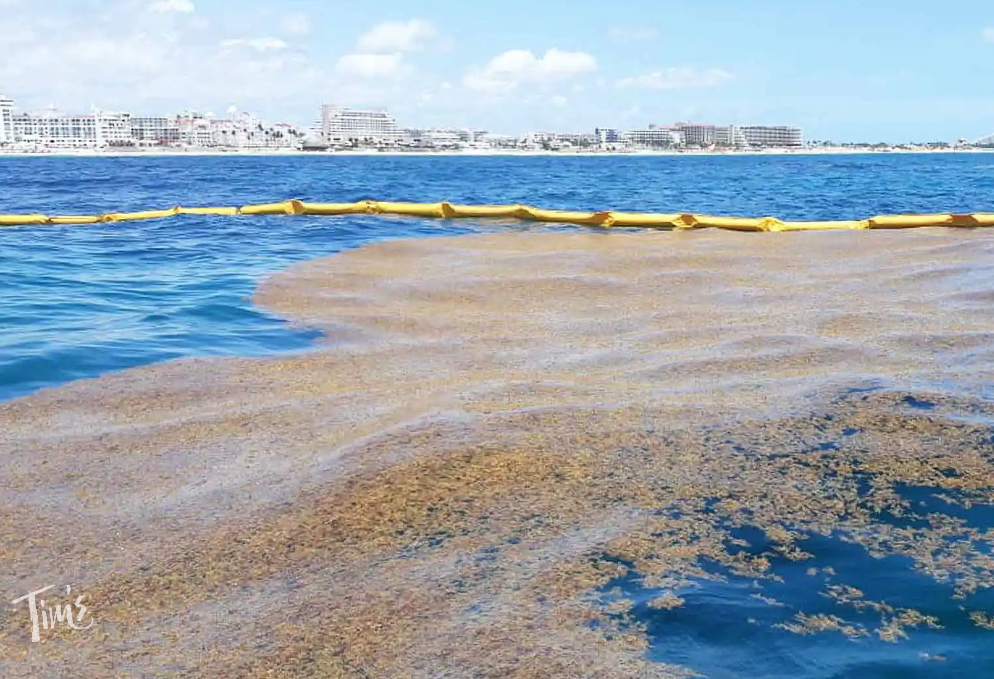 heavy duty sargassum barrier Cancun ocean with Tim’s Ocean Condos in background preventing seaweed reaching beach