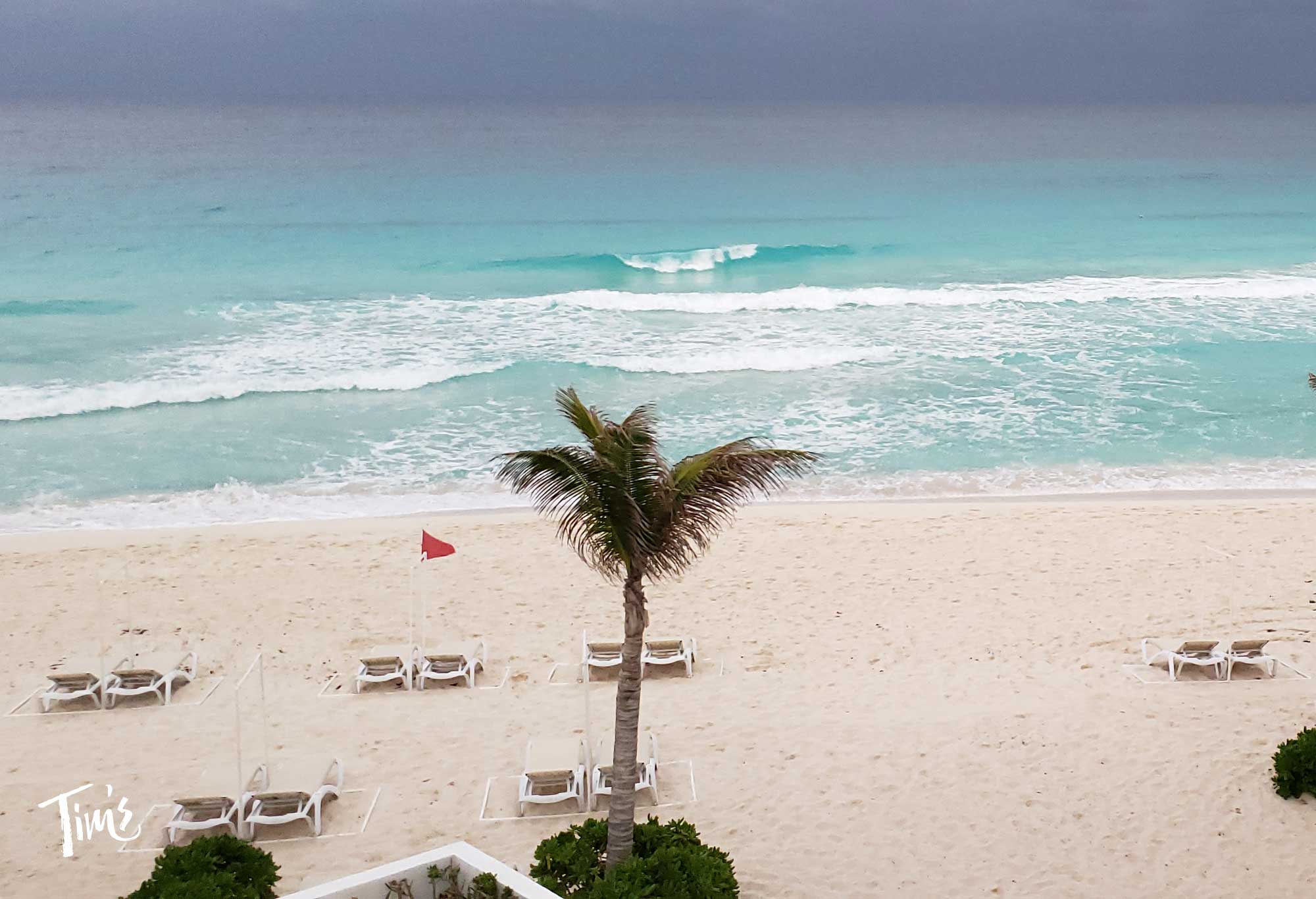 Cancun sargassum forecast 2026 showing clear beach conditions at Tim's Ocean Condos